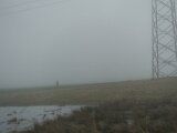 DSC07768