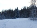 DSC07669