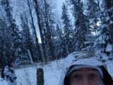 Topfågel Jan 2025
