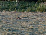 DSCF3404
