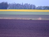 DSCF3333