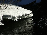 Melt