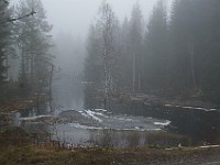 Mist