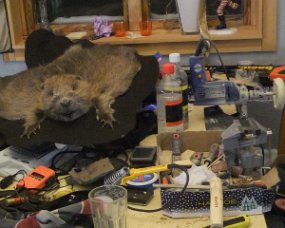 DSCF1117 Jo stadig værksted i køkkenet. Conny fik igen bæver i 2009 .men så kan han få en 'bæverpind'. 'Modellen' ser på i baggrunden
